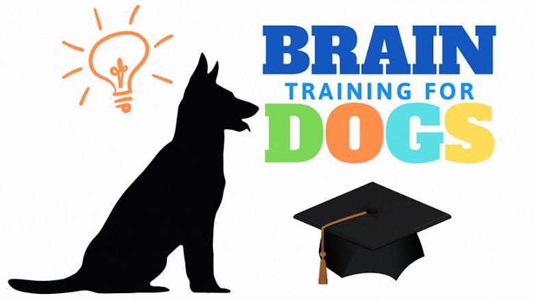 Brain Training For Dog